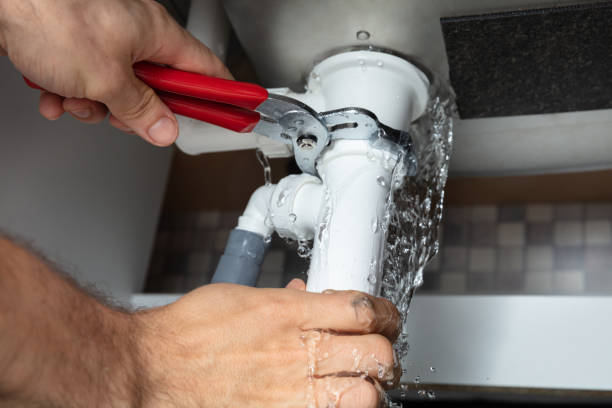 Best Flood restoration services  in Monticello, IA