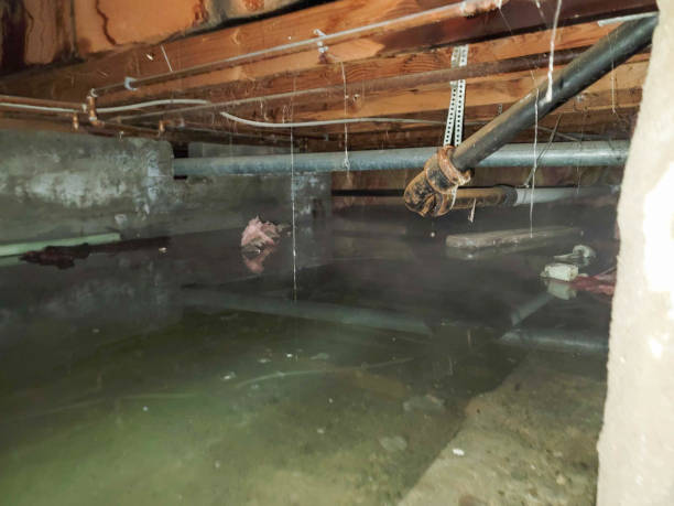Local water damage restoration in IA