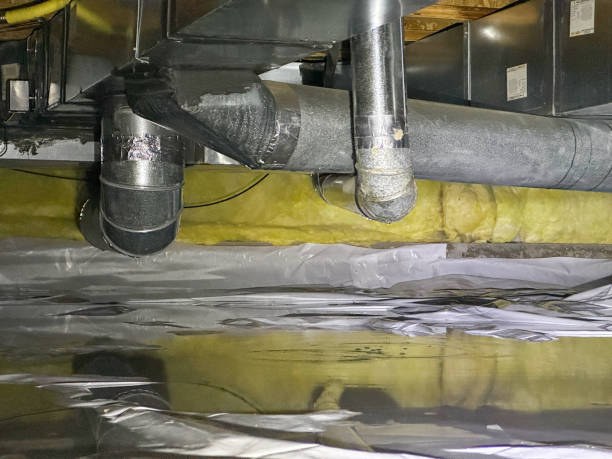 Best Mold removal after water damage  in Monticello, IA